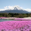 mont fuji