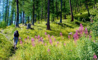 trekking france