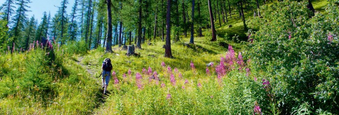 trekking france